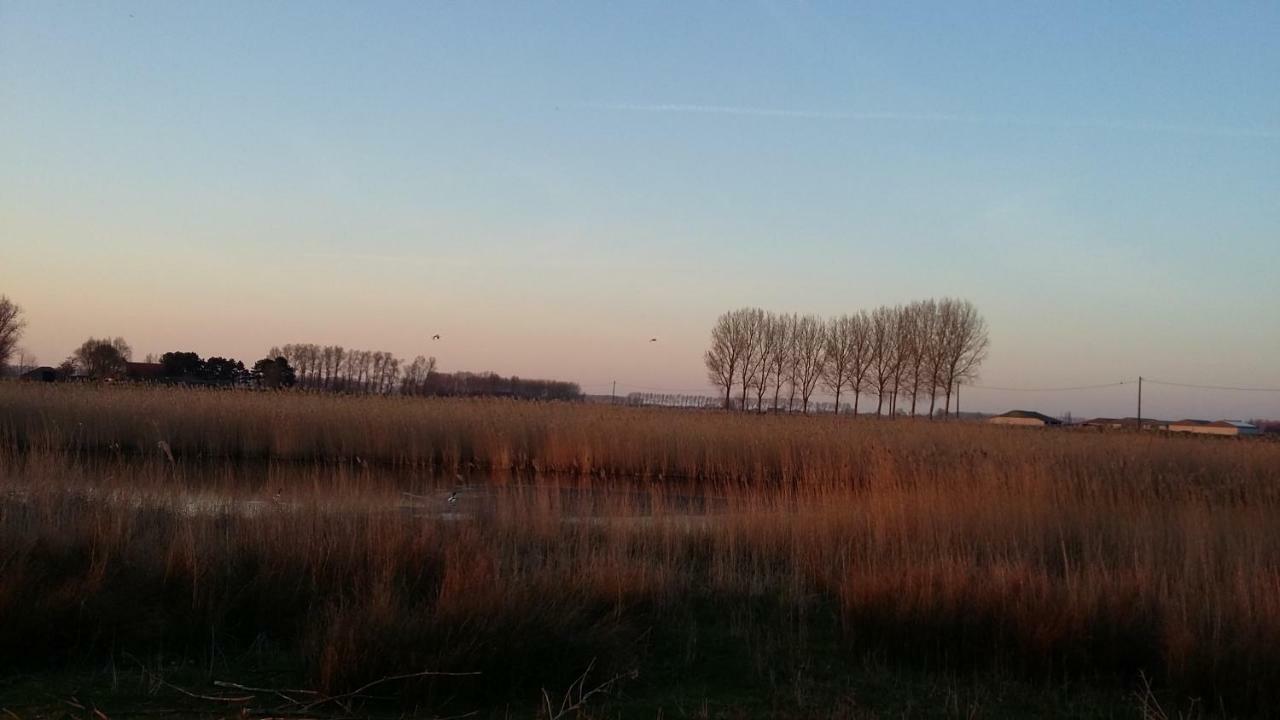 Vila De Molenkreek Sint-Margriete Exteriér fotografie