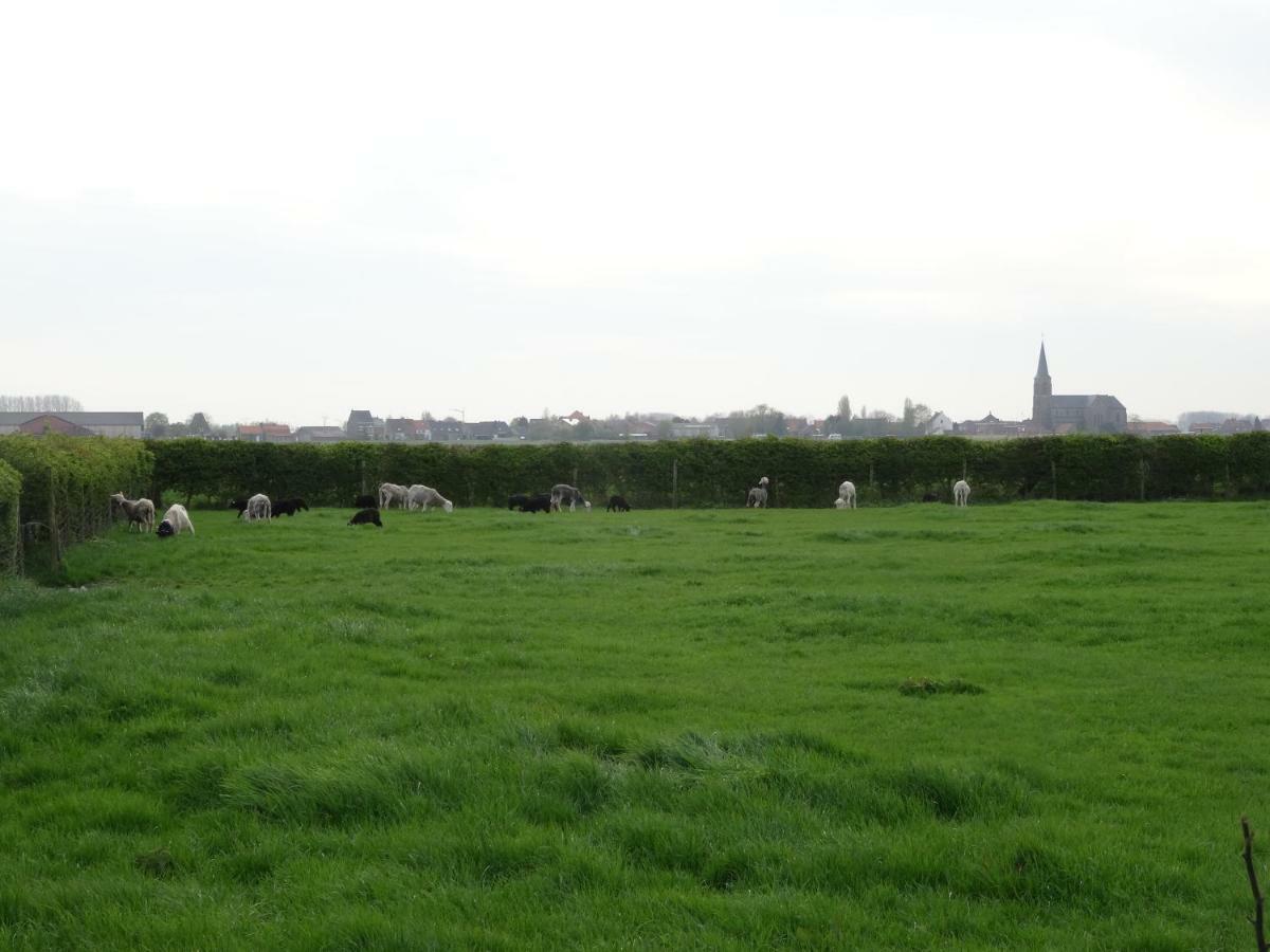 Vila De Molenkreek Sint-Margriete Exteriér fotografie