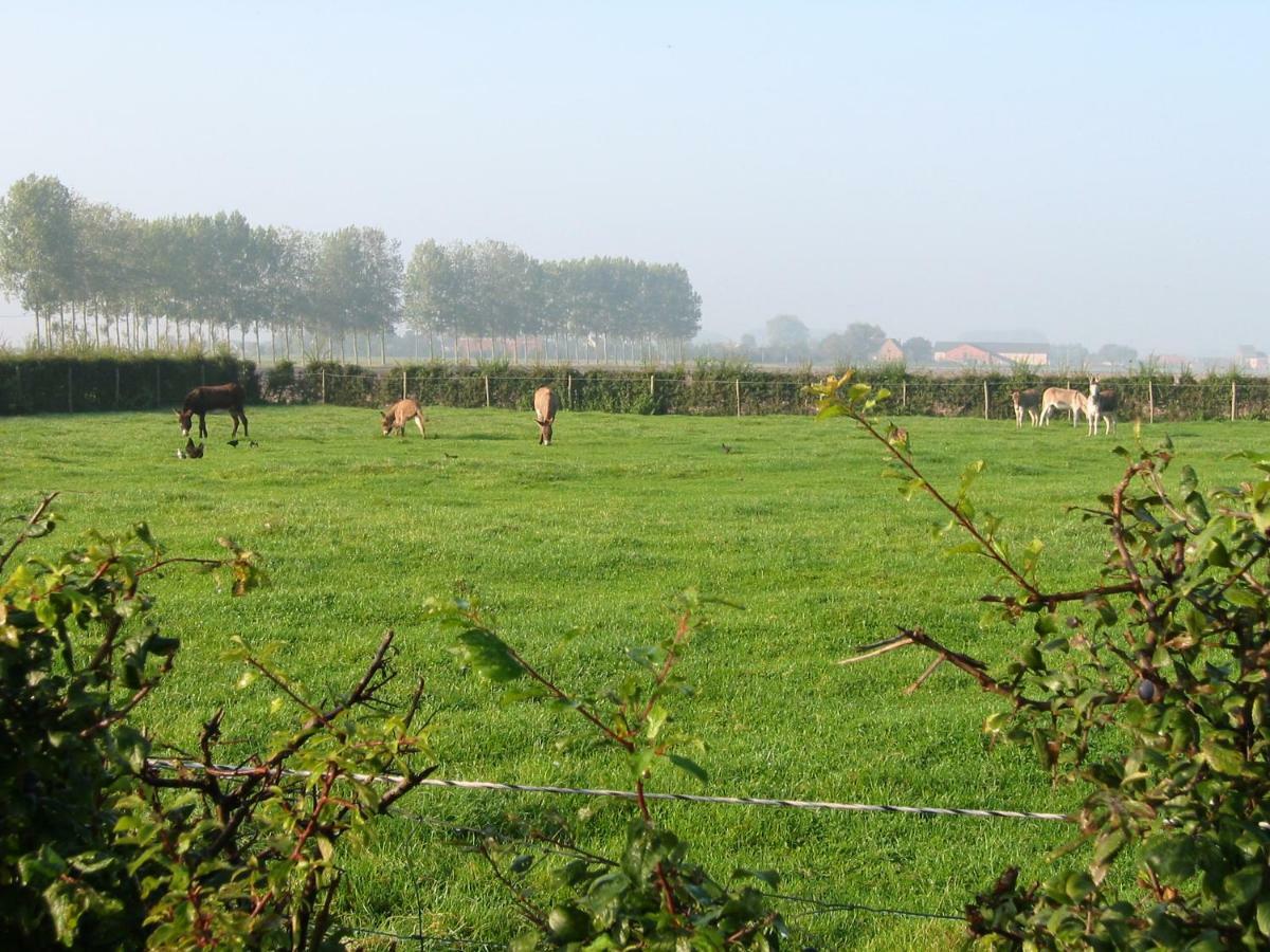 Vila De Molenkreek Sint-Margriete Exteriér fotografie