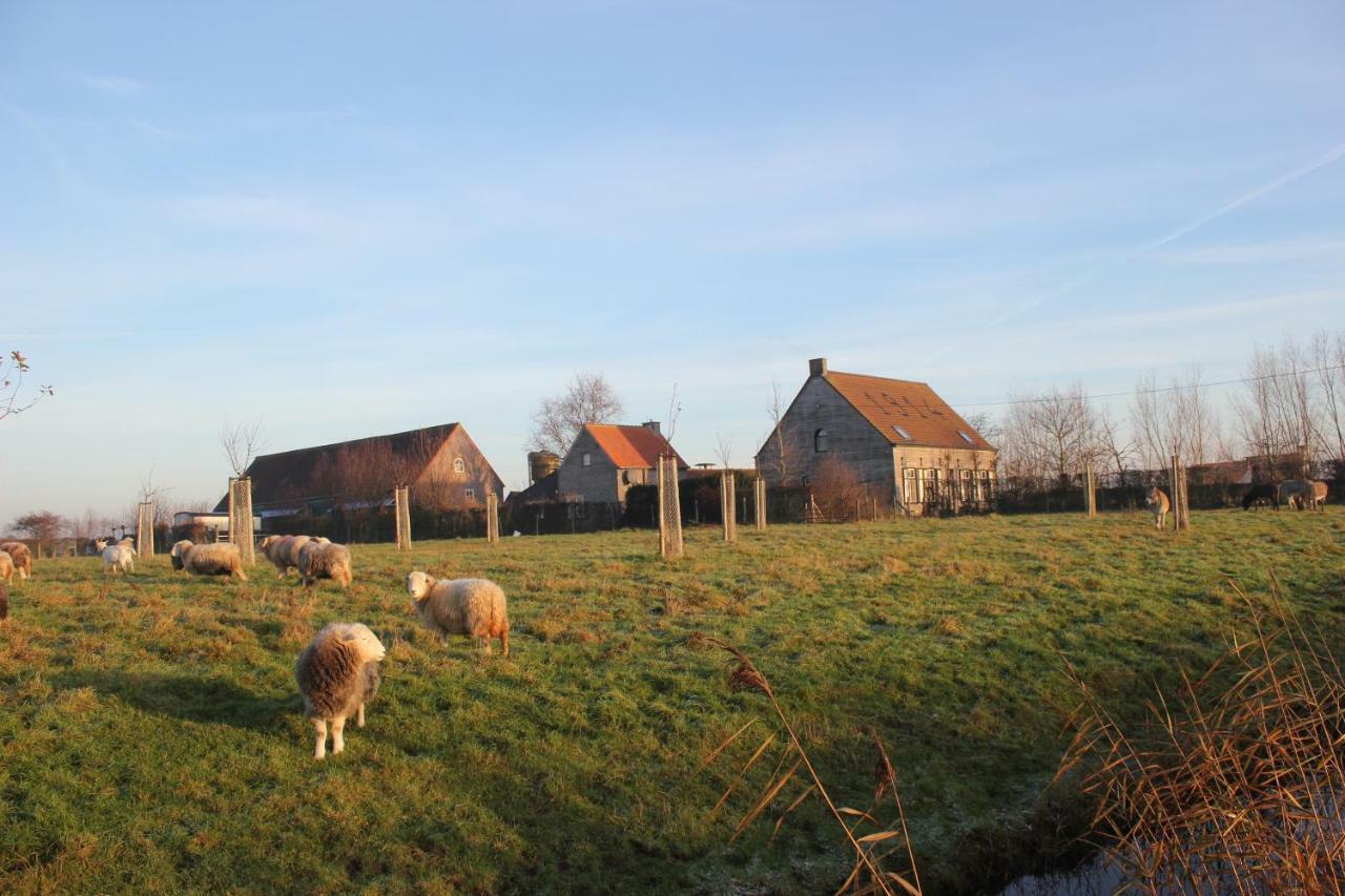 Vila De Molenkreek Sint-Margriete Exteriér fotografie